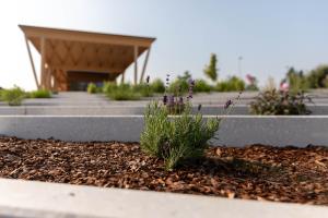 Tržnica_Medvode_ (14 of 21)